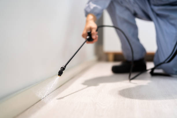Certified termite inspector examining foundation in Orwell